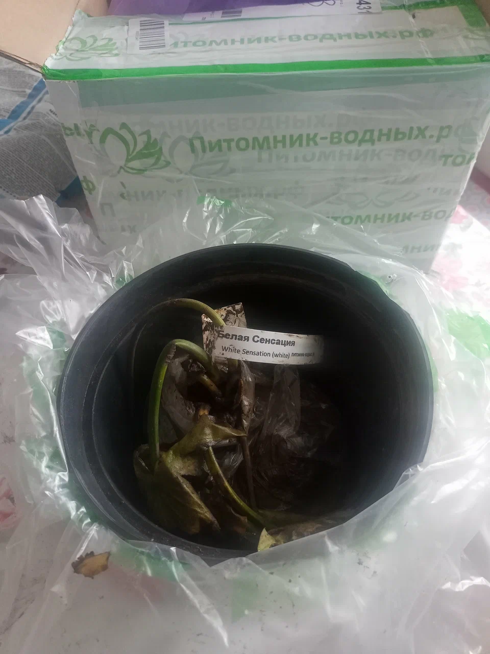 Татьяна Артюхова